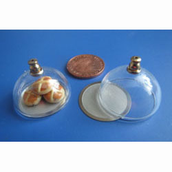 Glass Food Dome with Stailess Steel Platter